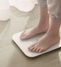 usando Xiaomi Mi Scale 2